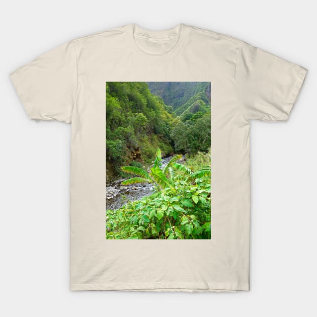 Iao Valley State Monument Study 10 T-Shirt by bobmeyers